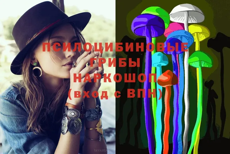 hydra   Углегорск  Псилоцибиновые грибы Psilocybine cubensis 